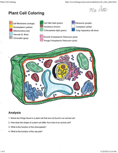 animal and plant cell coloring worksheet answers key
